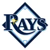 Rays_logo_100.jpg
